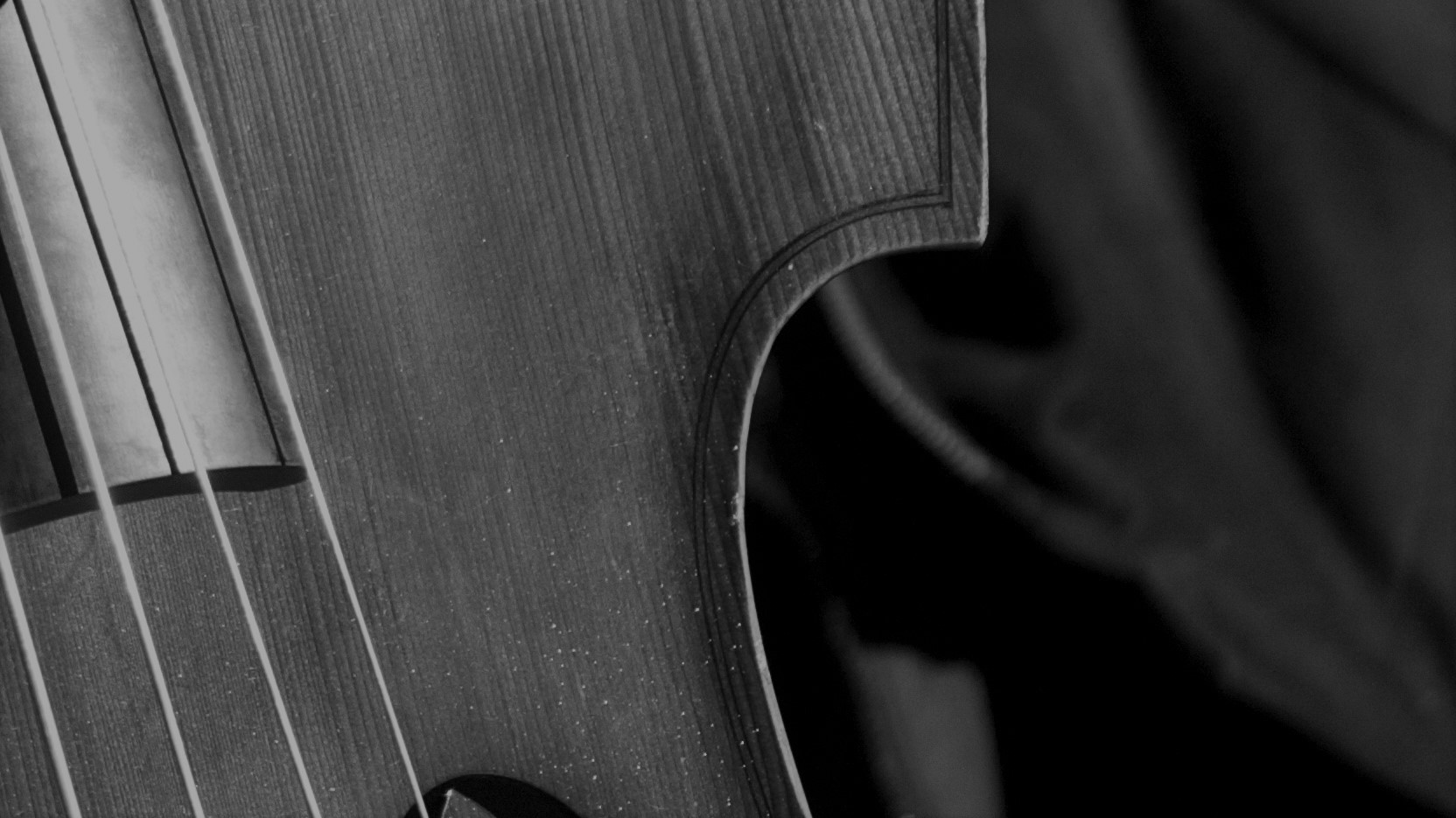 dettaglio contrabbasso