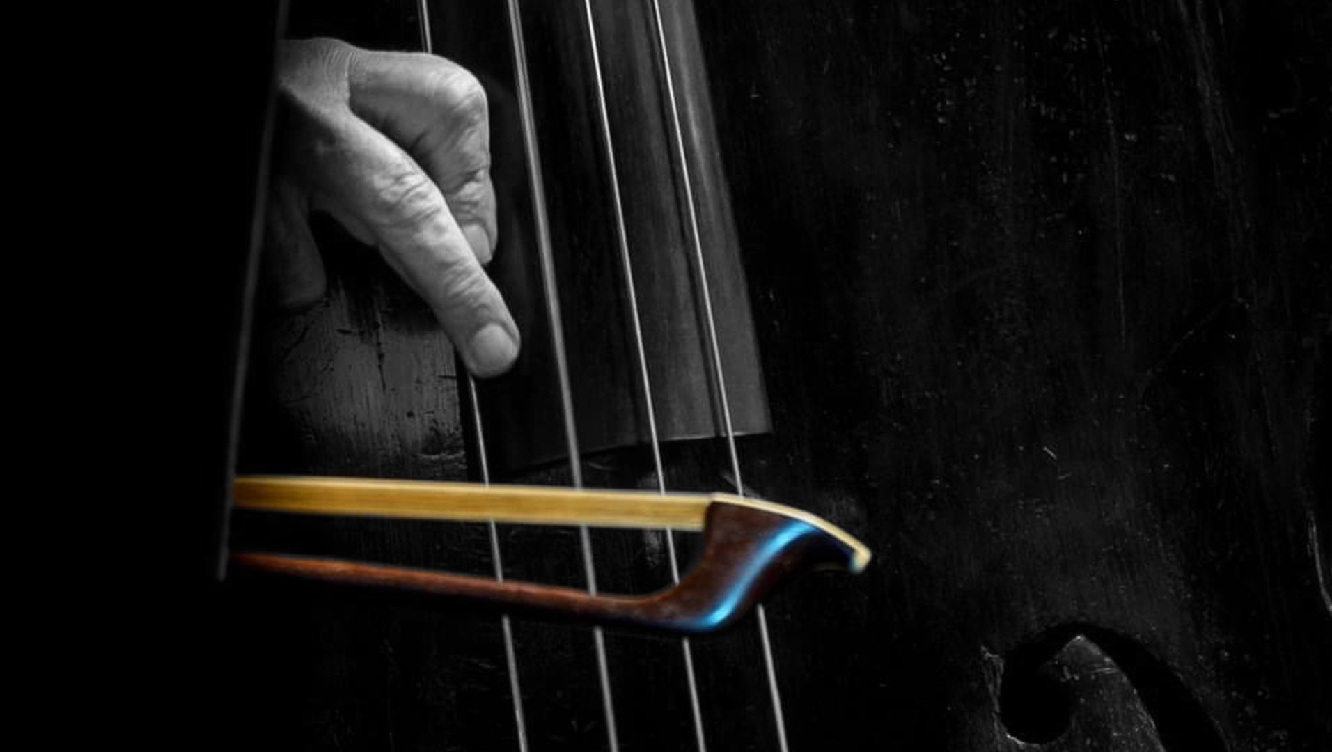 dettaglio archetto su contrabbasso