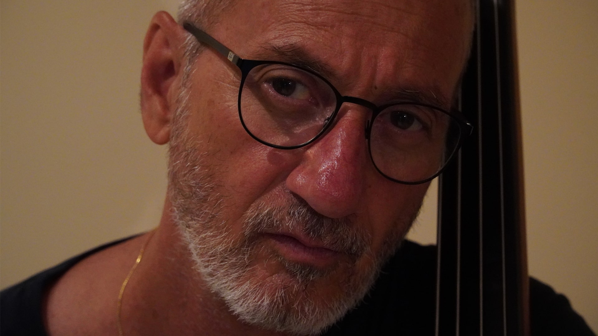 primissimo piano di Maurizio Quintavalle con contrabbasso
